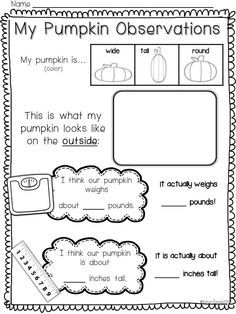 Pumpkin Observation, Halloween Activities For Kindergarten, Homeschool Halloween, Pumpkin Investigation, Sounds Activities, October Lessons, Pumpkin Science, Fall Classroom Ideas, Pumpkin Math