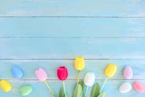 Colorful Easter eggs with tulip flower on blue wooden background. Easter holiday , #SPONSORED, #flower, #blue, #wooden, #tulip, #Colorful #ad Flower Petal Art, Monogram Wallpaper, Easter Wallpaper, Holiday Background, Spring Tulips, Coloring Easter Eggs, Easter Colors, Color Crafts, Easter Holidays