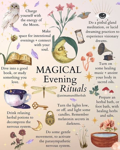 Nature Affirmations, Hearth Magic, Hearth Witch, Pagan Practices, Planting Plants, Witch Things, Evening Rituals, Relaxing Candles, Magia Das Ervas