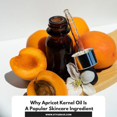 Apricot kernel oil skin benefits Apricot Kernel Oil Benefits, Fall Skincare Routine, Fall Skincare, Popular Skincare, Skincare Ideas, Popular Skin Care Products, Autumn Skincare, Tips Skincare, Apricot Kernels