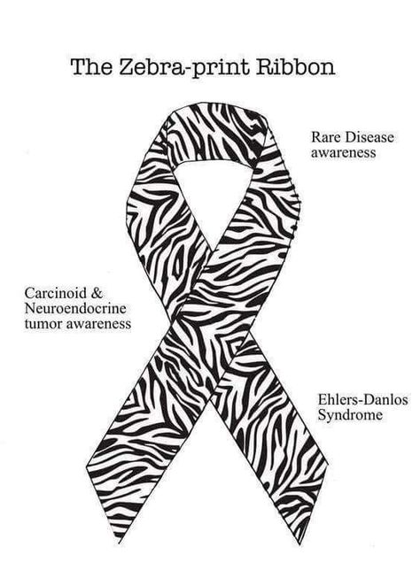 NET tattoo Dysautonomia Awareness Tattoo, Zebra Quotes Inspiration, Neuroendocrine Tumor Tattoo, Zebra Tattoo Ideas, Zebra Print Tattoos, Cover Ups Tattoo, Zebra Tattoo, Elhers Danlos Syndrome, Zebra Tattoos