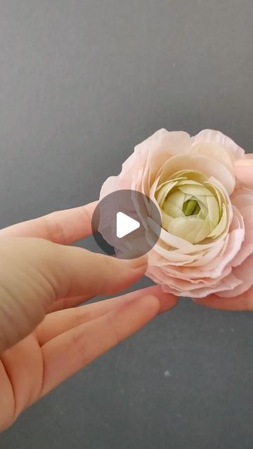 Chef Anna Astashkina | Florea Cakes on Instagram: "Are you tired of spending a hours on making fragile sugar flowers? Do you want to learn how to create beautiful and cost-efficient flowers quickly?   I got you! Wafer paper is the way to go!   Inside our Wafer Paper Academy you’ll receive immediate access to monthly live classes, video tutorials, templates, and troubleshooting guides to help you craft stunning wafer paper flowers and design modern cakes that will leave your clients in awe.   Our program is designed to help you master new skills and create beautiful flowers that will amaze your clients all year round. Sign up now and join our next class by commenting “ACADEMY” below. Don’t miss out on this opportunity to elevate your cake decorating style!  #floreacakes #waferpaper #waferpa Wafer Paper Tutorial, Flowers In The Attic, Paper Dahlia, Wafer Paper Flowers, Gumpaste Flowers, Modern Cakes, Luxury Wedding Cake, Gum Paste Flowers, Wedding Cake Decorations