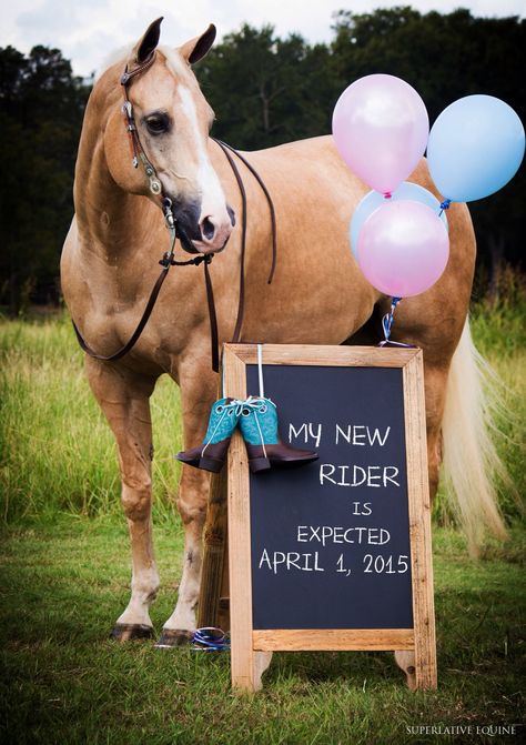 Horse baby announcement Pictures With Horses, Baby Announcement Pictures, Western Babies, Foto Baby, Baby Gender Reveal, Reveal Ideas, Baby Reveal, Baby Gender, Horse Photography