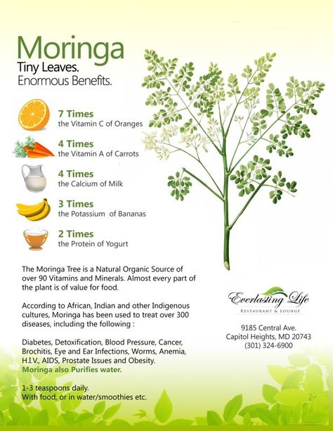 Moringa Benefits, Moringa Tree, Calendula Benefits, Coconut Health Benefits, Benefits Of Coconut Oil, Healing Herbs, Health Info, Natural Medicine, Korn