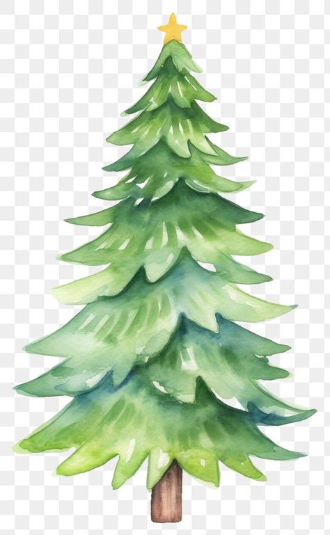 Christmas Tree White Background, Pine Tree Graphic, Christmas Tree Clip Art, Christmas Tree Plant, Christmas Tree Drawing, Christmas Tree Images, Christmas Stock Photos, Graphic Christmas, Christmas Tree Png