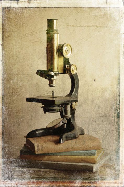 old microscope Pretty Graphics, Everyday Life Photography, Ipad Design, Microscopic Photography, Microscopic Images, Men Love, Microscopes, Ralph Waldo Emerson, Halloween 2024