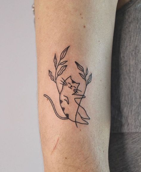 Simple Calico Cat Tattoo, Plant Cat Tattoo, Cat Stick And Poke Tattoo, Silly Cat Tattoo, Fluffy Cat Tattoo, Calico Cat Tattoo, Tuxedo Cat Tattoo, Teddy Tattoo, Simple Cat Tattoo