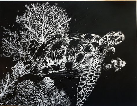 Turtle Scratchboard Scratchboard Animals, Zentangle Animals Art, Scratchboard Art, Turtle Swimming, Black Paper Drawing, Animal Illustration Art, Scratch Art, Bare Skin, White Charcoal