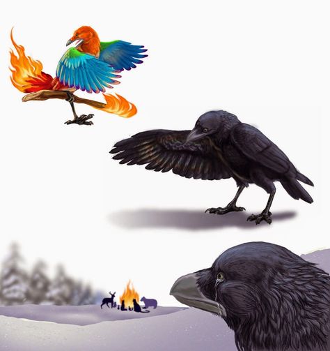 The New BigMamaBlaze Blog Crows And Ravens, Crow Feather, Creation Myth, Creation Story, Freezing Cold, Four Legged, Beautiful Creatures, Natural World, Bald Eagle