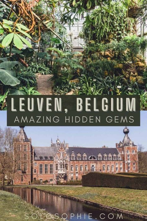 10 Hidden Gems & Secret Spots in Leuven You Must Visit | solosophie Belgium Itinerary, Leuven Belgium, Travel Belgium, Visit Belgium, Belgium Germany, Tourist Office, Belgium Travel, Travel South, South America Travel