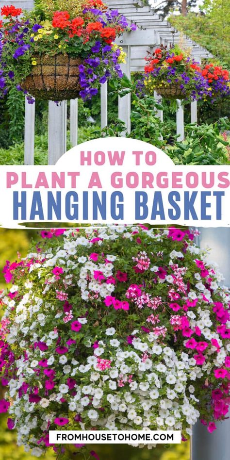 Looking for ideas on how to plant a hanging basket? We've got you covered! Use this simple step by step guide on planting your own hanging baskets that will look gorgeous for the whole growing season. Hanging Basket Garden, Full Sun Flowers, Hanging Plants Outdoor, Trailing Flowers, Full Sun Plants, Hanging Flower Baskets, Flower Baskets, Plants For Hanging Baskets, Perennial Shrubs