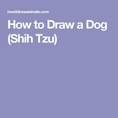 How to Draw a Dog (Shih Tzu) Dog Pencil Drawing, Shih Tzu For Sale, Dog Shih Tzu, Draw A Dog, Puppy Labrador, Youtube Drawing, Drawing Instructions, Aussie Puppies, Real Bones