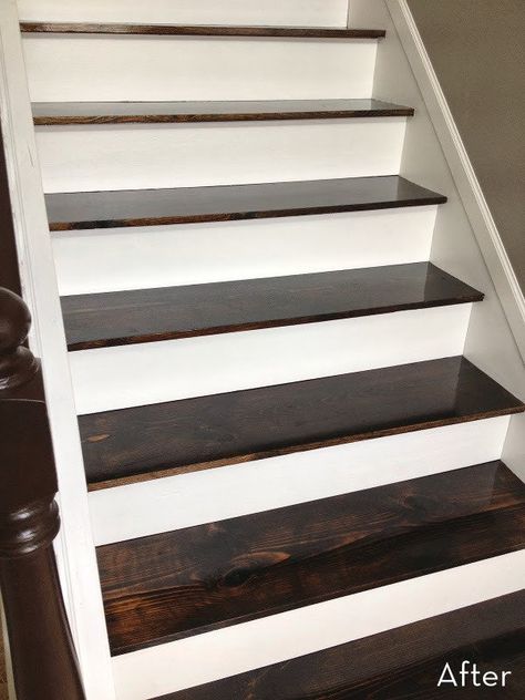 Before and After: A $60 Carpet-to-Hardwood Stair Makeover Stairs Skirting, Remodel Stairs, Stairs Diy, Stairs Makeover Ideas, Stairs Renovation, Stair Makeover, Hardwood Stairs, Stairs Makeover, Stairs Ideas