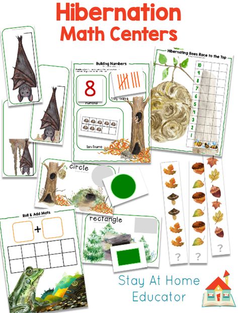 Hibernating Animals Preschool, Hibernation Kindergarten, Winter Animals Preschool Activities, Fun Measurement Activities, Hibernation Preschool Theme, Math For Preschool, Hibernation Preschool Activities, Math Activities For Preschool, Winter Animals Preschool