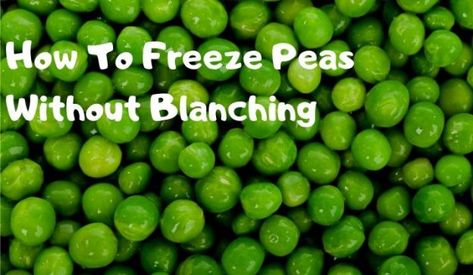 How To Freeze Peas Without Blanching | Growing Guides Freezing Peas From Garden, How To Freeze Peas From The Garden, Freezing Peas, Freeze Veggies, Freezing Produce, Freeze Food, Freezing Vegetables, Freezing Food, Canning Food Preservation