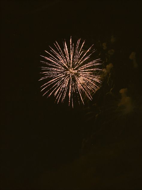 summer aesthetic | summer nights |fireworks | photography | 4th of july | sky pictures | Fireworks Photography, Sky Pictures, Aesthetic Summer, Summer Nights, Summer Aesthetic, Fourth Of July, Fireworks, 4th Of July, Dandelion