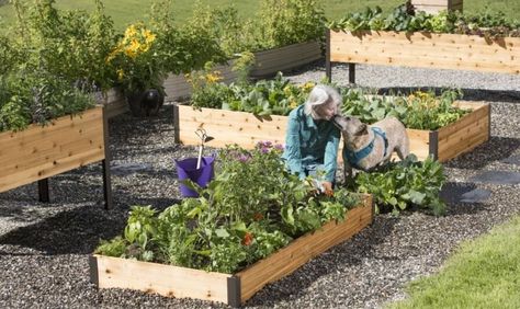 How to Calculate Soil Volume in Raised Beds - Soil Calculator Raised Garden Bed Soil, Backyard Raised Garden, Backyard Garden Beds, Vegetable Garden Beds, Raised Garden Bed Kits, Cedar Raised Garden Beds, Elevated Gardening, Raised Vegetable Gardens, Vegetable Beds Raised