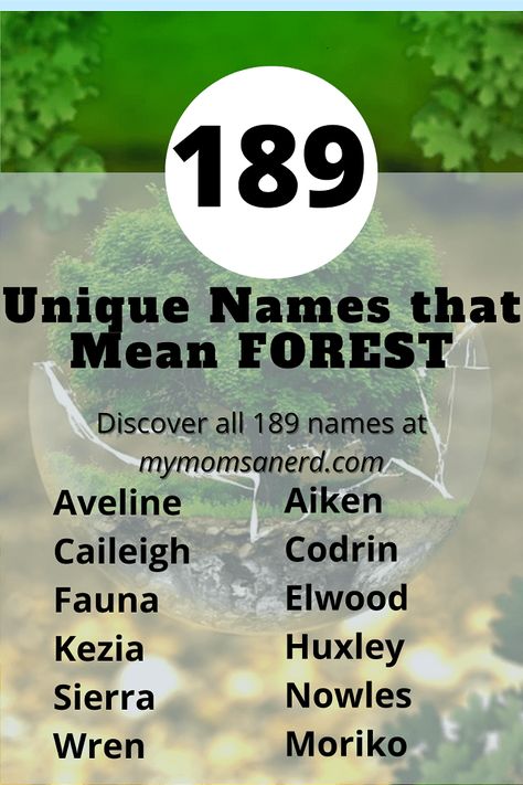 Names Meaning Green, Names Meaning Forest, Names That Mean Forest, Unique Names Meaning, Forest Names, Green Names, Earthy Names, Unique Names With Meaning, American Names