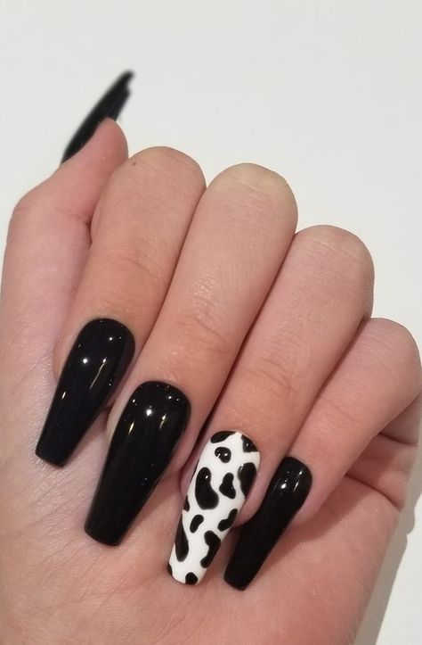 3139. Express your unique style with our trendy nail accessories! Click the link for more. #nail #nailtrend #nailaccessories Glasto Nails, Cow Pattern Nails, Glossy Black Nails, Rodeo Nails, Cow Print Nails, Cowboy Nails, Western Nails, Cow Nails, Nails Yellow