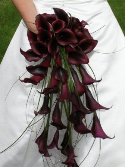 Goth Garden, Boquette Flowers, Goth Wedding, Dark Wedding, Nothing But Flowers, Flower Therapy, Calla Lilies, Gothic Wedding, Pretty Plants