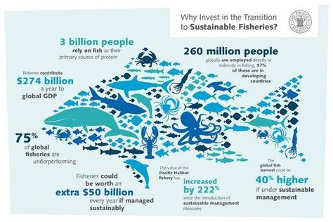 The State of Global Fish Stocks and Opportunities for Sustainable Fishery Development | World Information Transfer Environmental Infographics, Sustainability Illustration, Ocean Academia, Fish Infographic, Ocean Things, Closed Terrarium, Utah Lake, Sustainable Fishing, Sustainable Management