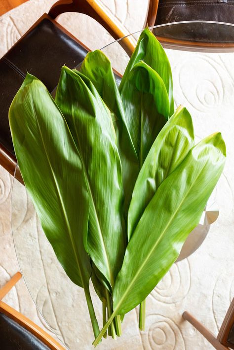 Ti Leaf Versus Luau Leaf | Onolicious Hawaiʻi Ti Leaf Tattoo, Chili Pepper Water, Okinawan Sweet Potato, Taro Leaves, Ti Leaf, Lau Lau, Taro Plant, Ti Plant, Hawaiian Plants