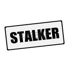 Stalker Pfp, Stalker Aesthetic, Stalker Quotes, Stalking Quotes, Millennial Memes, Targeted Individuals, Funny Profile, Like U, I Want To Know