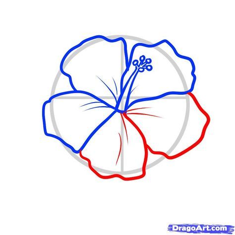 how to draw a hawaiian tattoo, hawaiian tattoo step 4 Hawaiian Flower Drawing, Hibiscus Drawing, Hibiscus Flower Drawing, Flower Step By Step, Epic Tattoo, Flower Drawing Tutorials, Hawaiian Tattoo, Flower Tattoo Sleeve, Flower Sketches