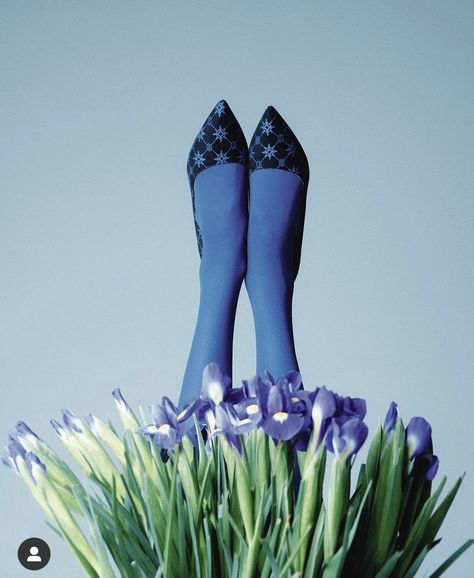 Shoes Flowers, Blue Photography, Spring Inspo, Still Life Photos, Shoes Photo, Photo Projects, Feeling Blue, Art Blue, Photography Inspo