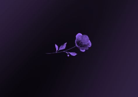 Wallpaper Video, Iphone Wallpaper Video, Purple Dark, Kawaii Wallpaper, Purple Flower, Iphone Wallpaper, Ipad, Wallpapers, Iphone