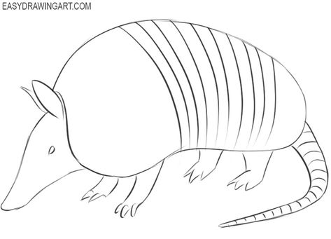 armadillo simple drawing Armadillo Drawing Easy, Armadillo Template, Cute Armadillo Drawing, Armadillo Tattoo Simple, Armadillo Sketch, Armadillo Painting, Armadillo Drawing, Angry Cactus, Texas Quilts