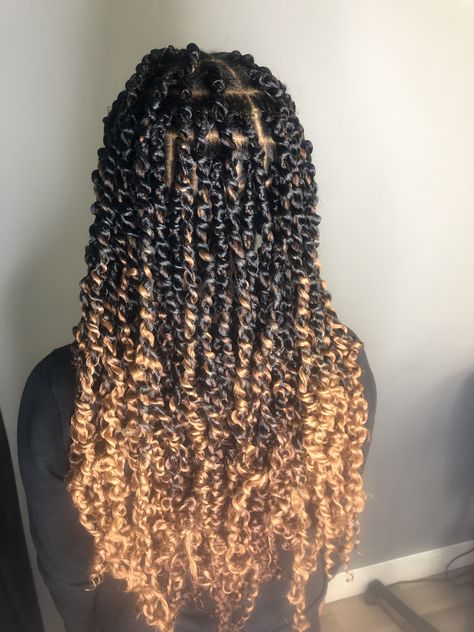 Follow @hairbyambz on ig for more Multi Color Passion Twists, Ombre Passion Twists, Freetress Hair, Passion Twists, Cute Braided Hairstyles, African Braids, African American Hairstyles, Braids Hairstyles, Protective Hairstyles