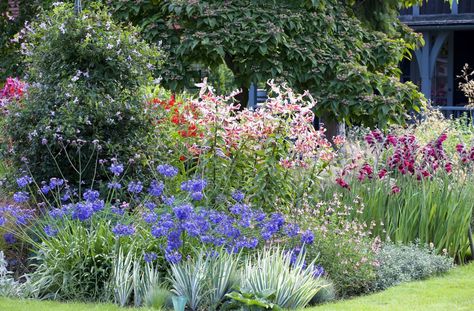 Is your garden north or south facing, or does it feature lots of room for beds and borders? Follow our advice on how to select the best plants to suit the space South Facing Garden, Border Ideas, Garden Border, Cottage Garden Plants, Cottage Garden Design, Gravel Garden, Real Homes, Border Plants, Ground Cover Plants