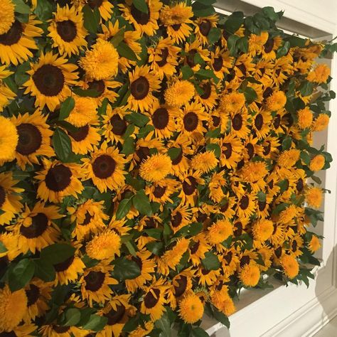 Sunflower photo backdrop See this Instagram photo by @eventsandrewells • 127 likes Sunflower Grass Wall, Sunflower Photo Backdrop, Sunflower Wedding Photo Booth, Sunflower Backdrop Photoshoot, Sunflower Sweet 16, Sunflower Props, Red Roses And Sunflower Fresh Wall Backdrop, Prom Committee, Sunflower Birthday Parties