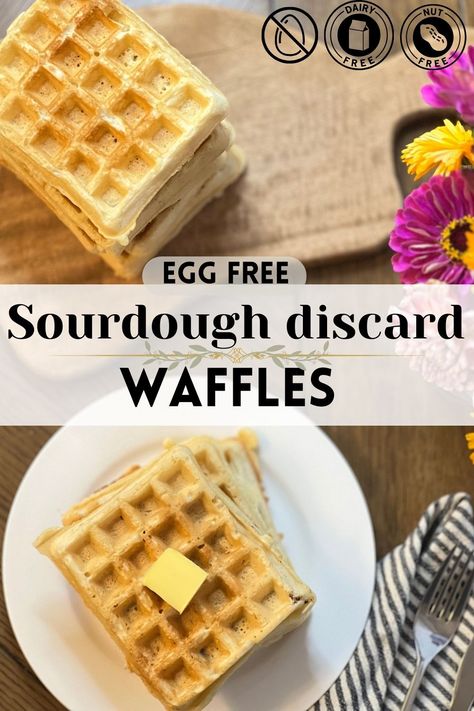 Sourdough discard WAFFLES that do NOT need eggs! option to make them vegan/ dairy free :) #eggfree #dairyfree #sourdough #veganwaffles Vegan Sourdough Waffle Recipe, Vegan Sourdough Discard Waffles, Egg Free Sourdough Recipes, Sourdough Discard Recipes No Egg, Vegan Sourdough Waffles, Eggless Sourdough Recipes, Vegan Sourdough Recipes, Sourdough Discard Waffles, Egg Waffle Recipe