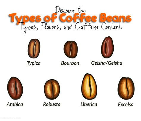 Types of Coffee Beans: Types, Flavors, and Caffeine Content Coffee Bean Types, Café Cubano, Sumatra Coffee, Arabica Robusta, Types Of Coffee Beans, Robusta Coffee, Recipe Book Design, Cuban Coffee, Coffee Infographic