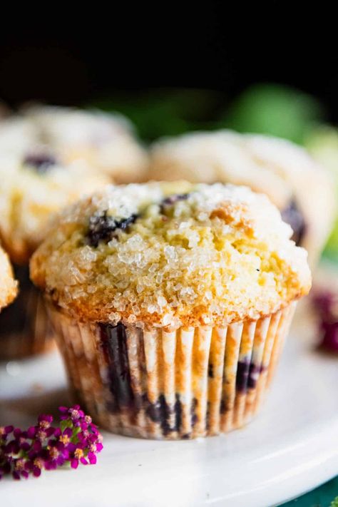 The best bakery-style blueberry muffins are moist and fluffy, bursting with fresh, juicy berries, and finished with a crunchy sugar topping. These sour cream blueberry muffins are also big, decadent, and totally satisfying! Sour Cream Blueberry Muffins, Sour Cream Muffins, Bakery Style Blueberry Muffins, Homemade Blueberry Muffins, Easy Blueberry Muffins, Best Blueberry Muffins, Moist Muffins, The Seasoned Mom, Lemon Blueberry Muffins