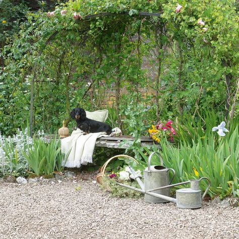 Gravel Garden With Pots, Gravel Planting Ideas, Gravel Area In Garden, Small Square Garden Design, Small Gravel Garden Ideas, Square Garden Design, Gravel Front Garden Ideas, Gravel Garden Ideas, Pea Gravel Garden