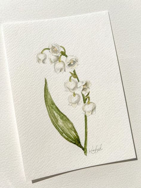 Lily Of The Valley Tattoo Watercolor, Lily Of The Valley Flower Drawing, Watercolor Lily Of The Valley, Lily Of The Valley Watercolor, Lily Of The Valley Painting, Lily Of The Valley Drawing, Botanical Sketchbook, Lily Of The Valley Flowers, Art Painting Tools