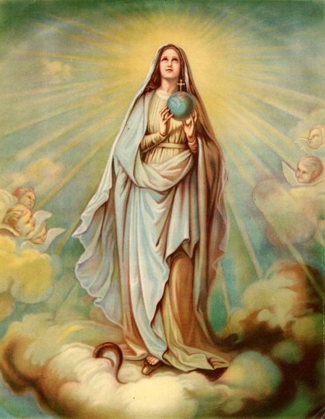 Catholic Pictures, Blessed Mary, Religious Pictures, Mama Mary, Queen Of Heaven, Catholic Images, Lady Of Fatima, Divine Mother, Blessed Mother Mary