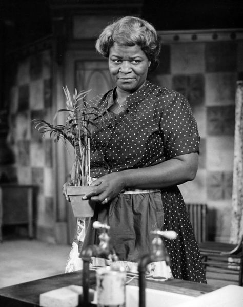 "Mama's plant is a symbol of her care and dreams for her family" Langston Hughes Poems, A Raisin In The Sun, Raisin In The Sun, Lorraine Hansberry, African American Family, Native American Photos, Black Families, American Dream, Women In History