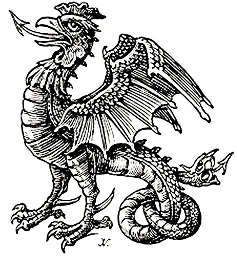 ShukerNature: THE BASILISK AND THE COCKATRICE - MONSTROUS ... Medieval Bestiary, Mythological Creatures, Medieval Art, A Dragon, Coat Of Arms, Mythical Creatures, Alchemy, Tattoo Ideas, Fine Art