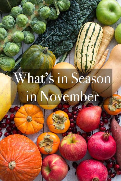 November Produce In Season, November Produce, Squash Delicata, Fruits Recipes, Roasted Sprouts, Glazed Meatballs, Acorn Squash Recipes, Farmers Market Recipes, Seasoned Veggies