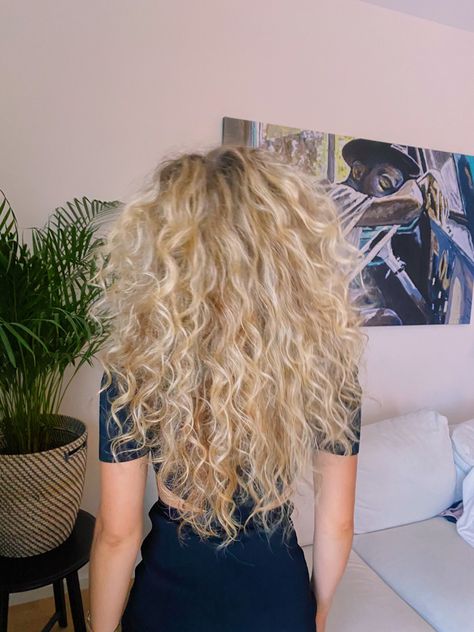 Cool Blonde Curly Hair, Curly White Blonde Hair, Blonde Shag Curly, Curly Long Blonde Hair, 2b Blonde Hair, 2c Blonde Hair, Platinum Curly Hair Natural Curls, Blonde Perm, Blonde Natural Curly Hair