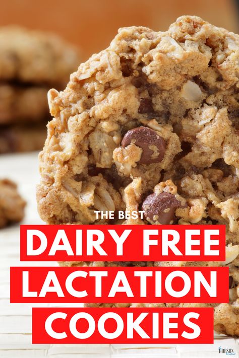 Dairy Free Lactation Cookies, Breastfeeding Cookies, Dairy Free Cookie Recipe, Dairy Free Coffee Creamer, Lactation Cookies Recipe, Breastfeeding Snacks, Dairy Free Coffee, Dairy Free Breastfeeding, Kid Recipes