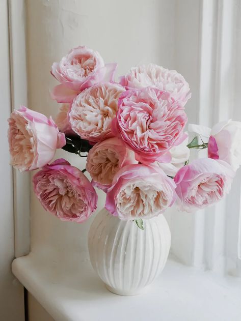 David Austin English Garden Roses - Constance in Light Pink | Hope Flower Farm Idea Magazine, Hope Flower, Pretty Flowers Pictures, Violet Garden, Austin Rose, Makeup Images, Rose Vase, David Austin Roses, Rose Arrangements