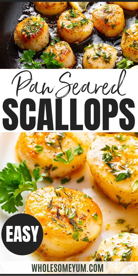 Pan Seared Scallops Recipe with Garlic Pan Fried Scallops Garlic, How To Pan Fry Scallops, Fried Sea Scallops, Pan Seared Sea Scallops, How To Fry Scallops, Gordon Ramsay Pan Seared Scallops, Sea Scallops Recipes, Sauteed Scallops Recipes, Saute Scallops Recipe