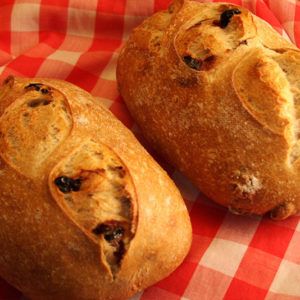 Bread - Stone House Bread Cranberry Walnut Sourdough, Walnut Sourdough Bread, Everything Sourdough, Cranberry Walnut Bread, Red Star Yeast, Cherry Bread, Walnut Bread, Yeast Bread, Cherry Tart