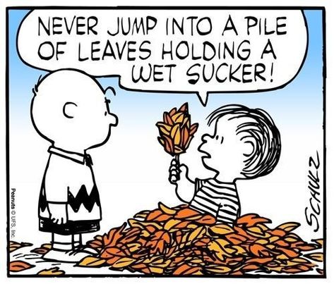 Snoopy Sayings, Peanuts Fall, Men Humor, Peanuts Quotes, Pile Of Leaves, Autumn Images, Peanut Gallery, Peanut Gang, Snoopy Dog