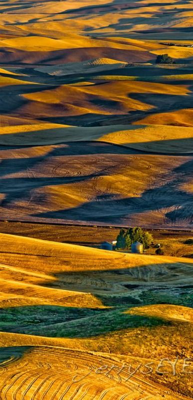 Inland Empire | The Palouse North from Stepioe Butte. Sunrise | Steptoe… The Palouse, Photo Shoot Location, Inland Empire, Garbanzo Beans, Amazing Spaces, God Pictures, Rolling Hills, Incredible Places, Washington State